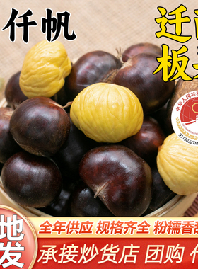 栗仟帆批发正宗迁西生鲜板栗炒货店栗子3113毛栗河北唐山燕山油栗
