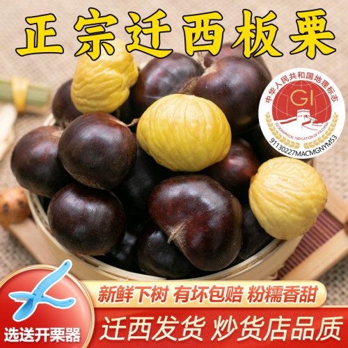 栗仟帆 正宗迁西板栗生新鲜3113农家生毛栗子甜糯油栗燕山旗舰店