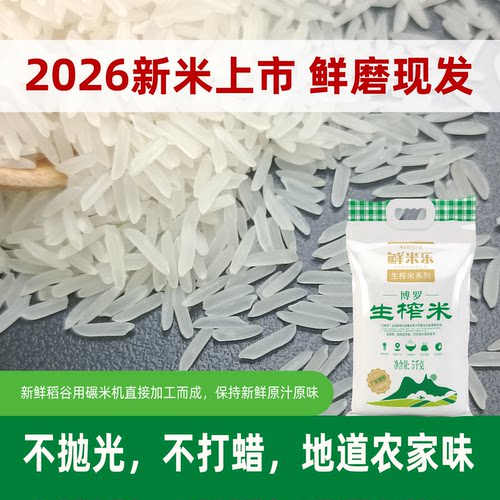 鲜米乐生榨米广东不抛光油粘丝苗