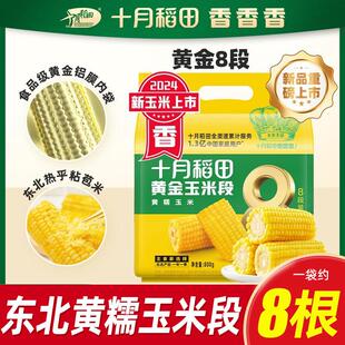 直供黄金玉米段白黑甜糯新鲜东北黏苞米早餐真空包装袋装