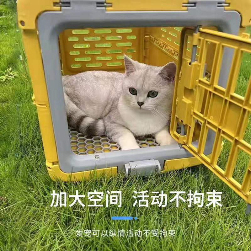 折叠航空箱猫咪绝育术后缅因猫装猫的小狗比熊泰迪外出便携笼子