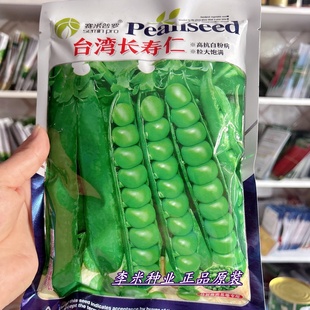 甜脆青豌豆种子水果豌豆种籽台湾长寿仁荷兰豆子种子豌豆尖苗种孑