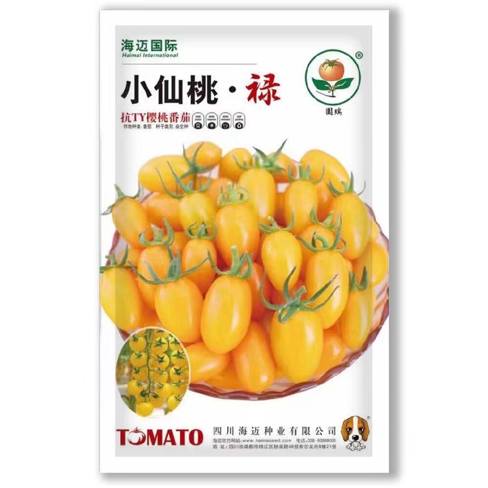 小仙桃禄抗tv黄色樱桃番茄种子颜色好耐裂耐储存早熟基地专用种籽