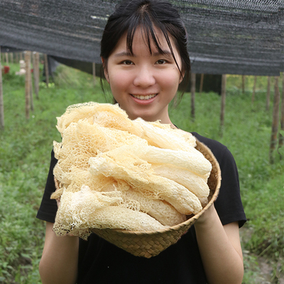 珊初物古田竹荪干货包特级新鲜