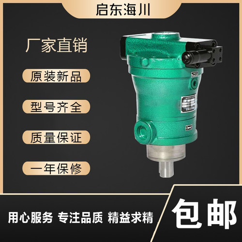轴向柱塞泵上海液压油泵