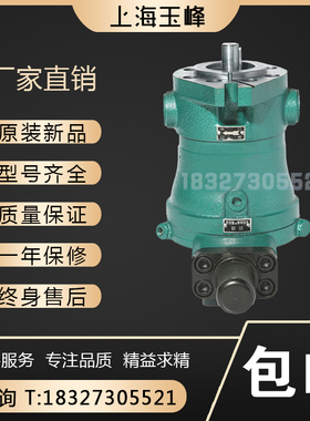 上海玉峰10/16/25/32/40/63/80YCY14-1D轴向柱塞泵电机组泵头