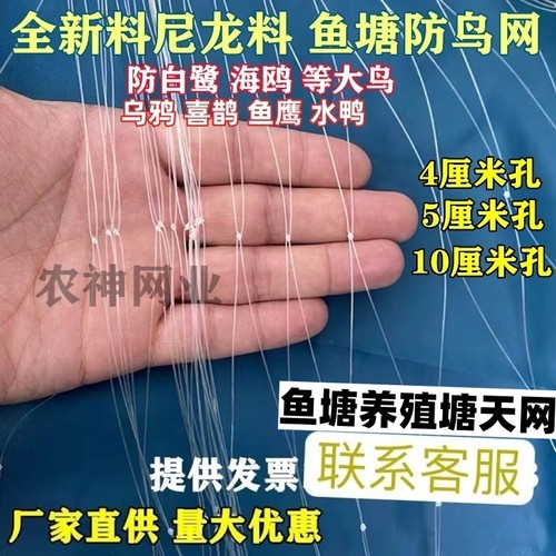 尼龙防鸟网大网孔多年使用抗氧化