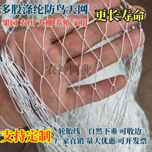 高强涤纶合股防鸟网果园果树大棚防鸟天网户外鱼塘养殖涤纶防护网