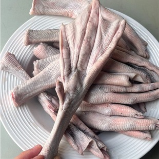 新鲜现杀广东黑棕鹅大鹅掌亦生鹅掌鹅脚板超大鹅爪鹅掌翼整只烤翅