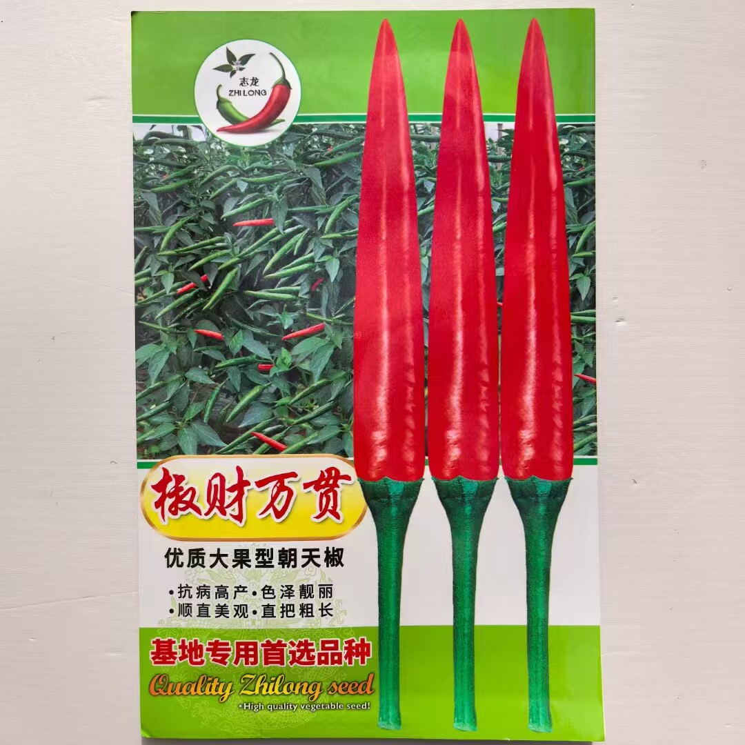 朝天椒种子大果型朝天椒种籽抗病耐高温一代杂交辣椒种子