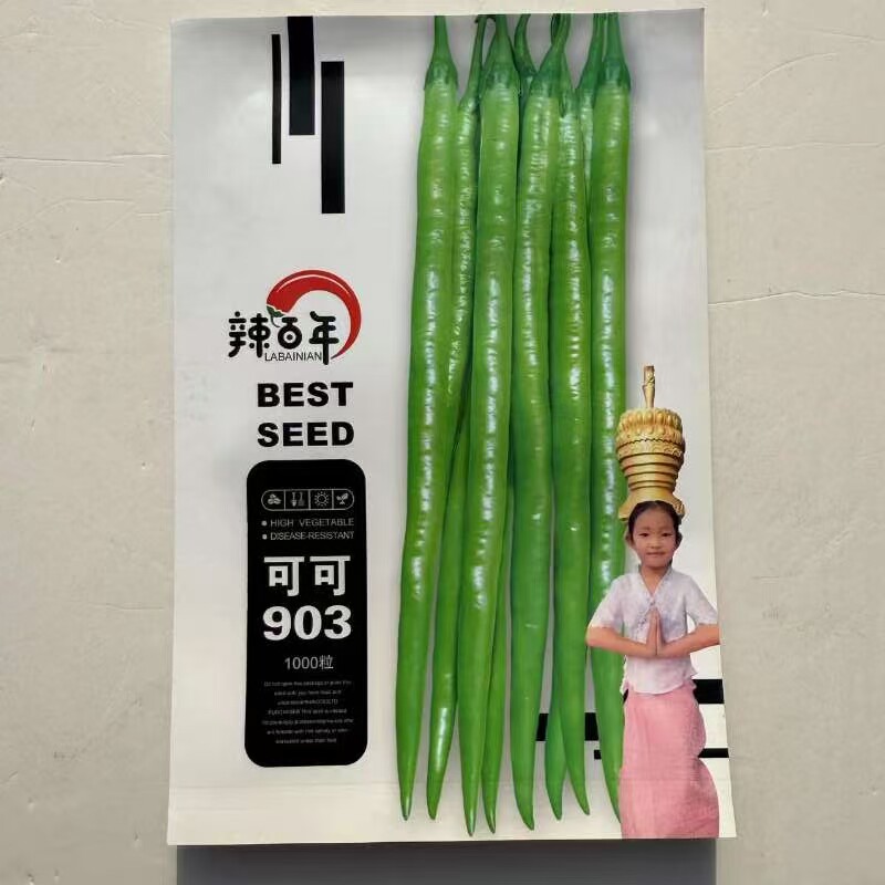 辣百年辣椒种子早熟高产抗病辣椒种子