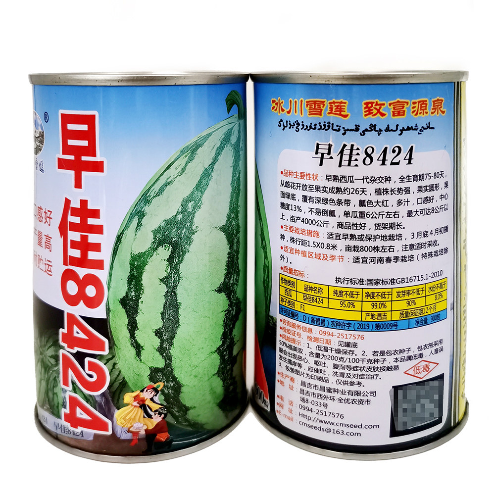 早佳8424早熟西瓜种子口感好产量高耐贮存四季大田用种