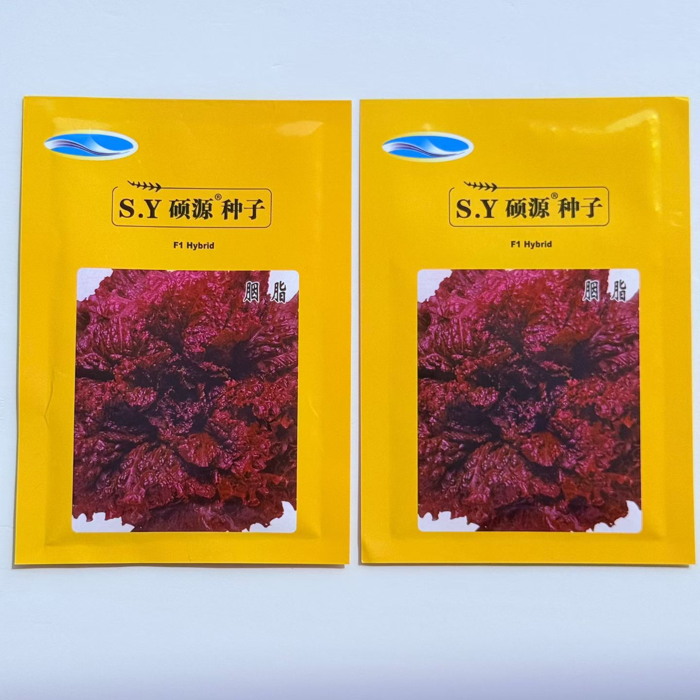 紫叶生菜种子有机沙拉菜种子种植耐寒耐高温热庭院四季种蔬菜子