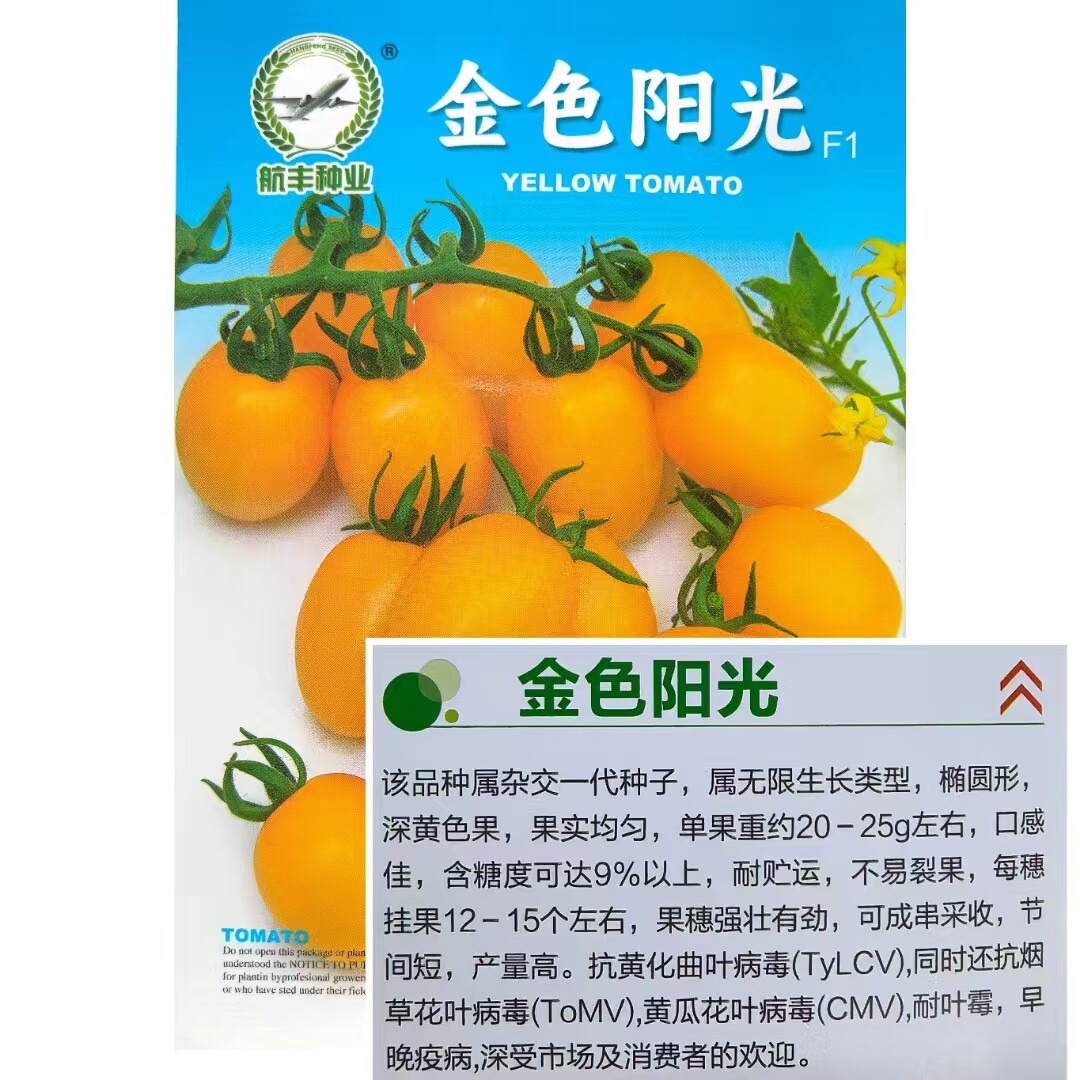 黄色樱桃番茄种子超甜黄色小柿子西红柿盆栽蔬菜籽
