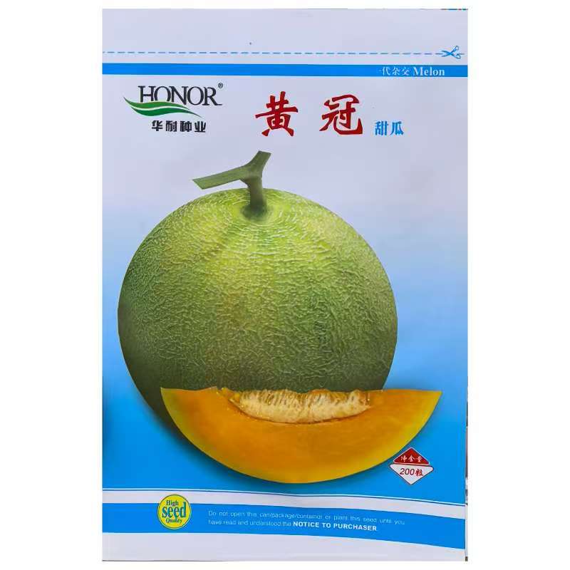 黄冠甜瓜种子杂交早熟皮绿肉黄基地春季播香瓜种孑水果