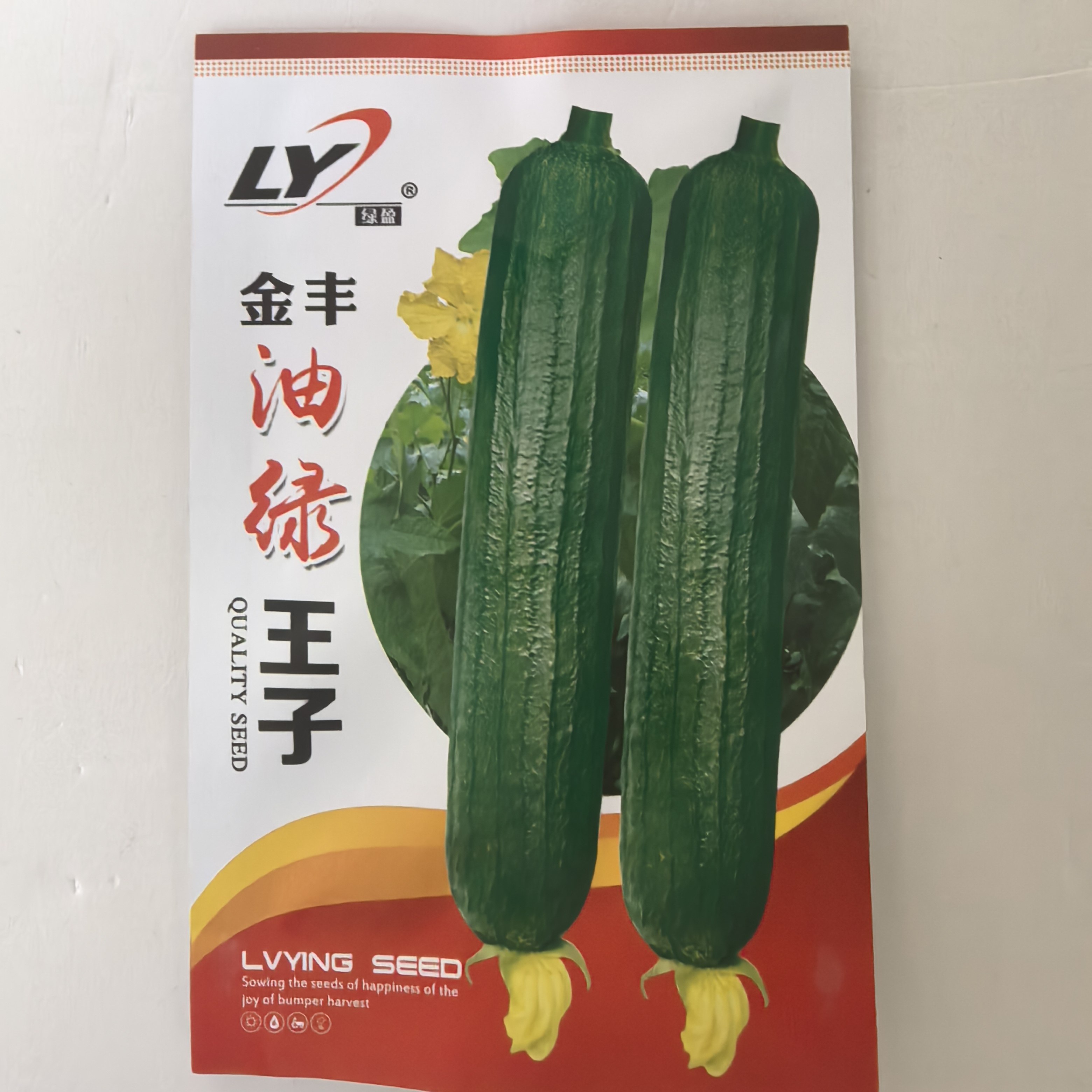 金丰绿油王子油皮丝瓜种子早熟高产抗病耐热耐湿春秋播油丝瓜种子