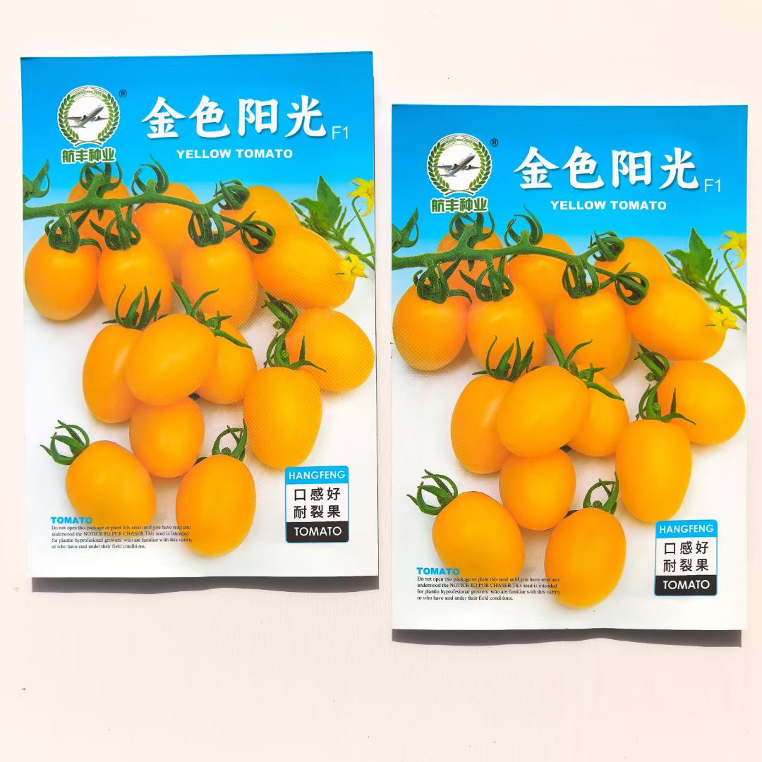黄色小番茄种子西红柿种籽阳台盆栽四季播水果蔬菜苗孑樱桃圣女果