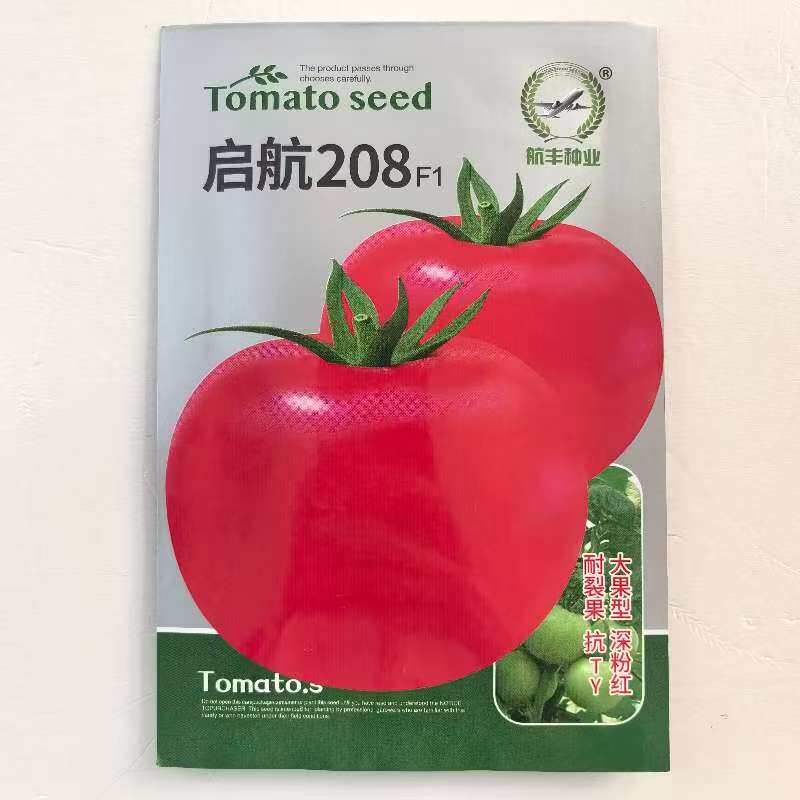 启航208番茄种子大果型深粉红番茄种子抗病中早熟蔬菜种孑