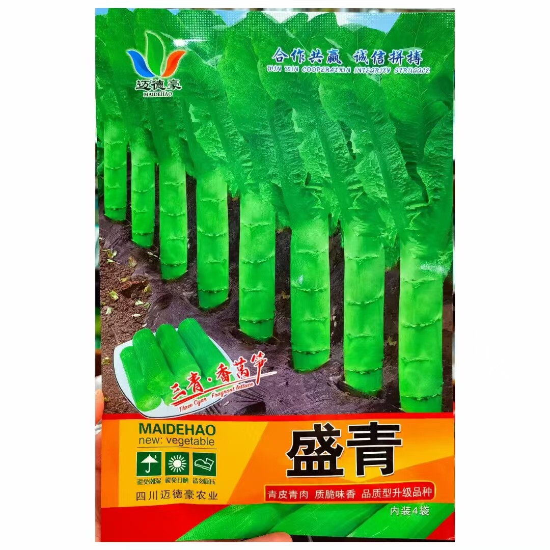 四季莴笋种子青皮绿肉香莴笋种子高产耐热耐寒春秋冬播蔬菜种籽
