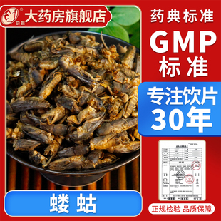 京皖 蝼蛄10g 中药饮片大全 现抓现配 中草药材抓配 旗舰店正品