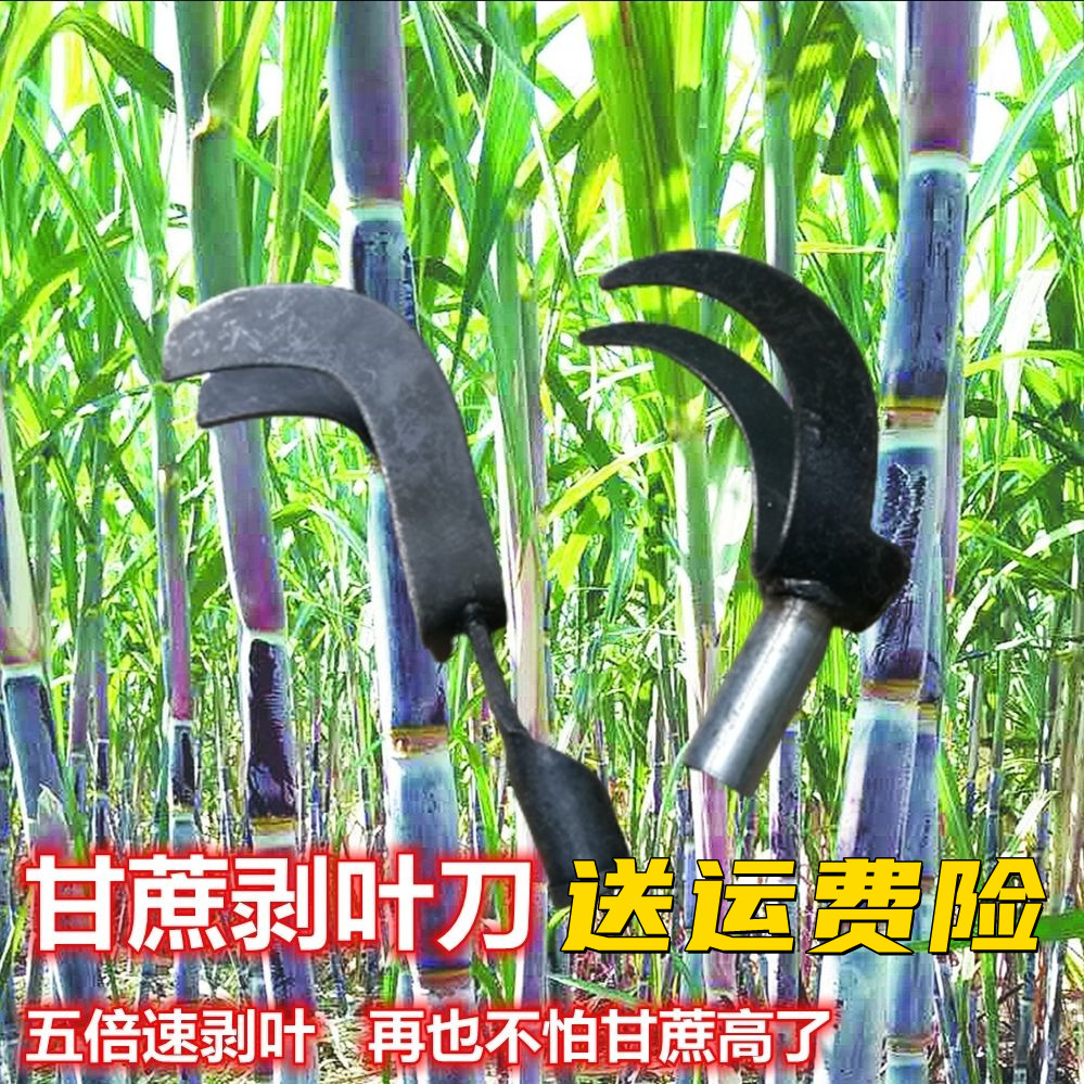 甘蔗专用削叶刀剥甘蔗叶神器甘蔗剥叶刀手动撕甘蔗叶工具剥蔗叶神
