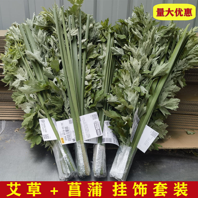 DLY定制艾草菖蒲新鲜端午节套装艾篙艾叶现采现发挂门前野生艾草