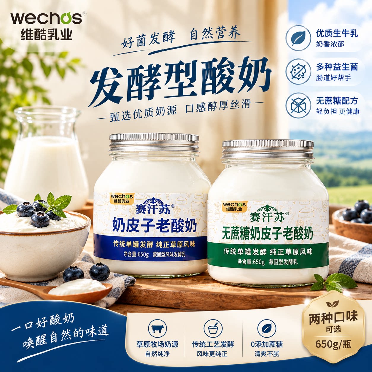 赛汗苏内蒙古传统奶皮子老酸奶单罐650g珍贵奶皮子 无添加剂