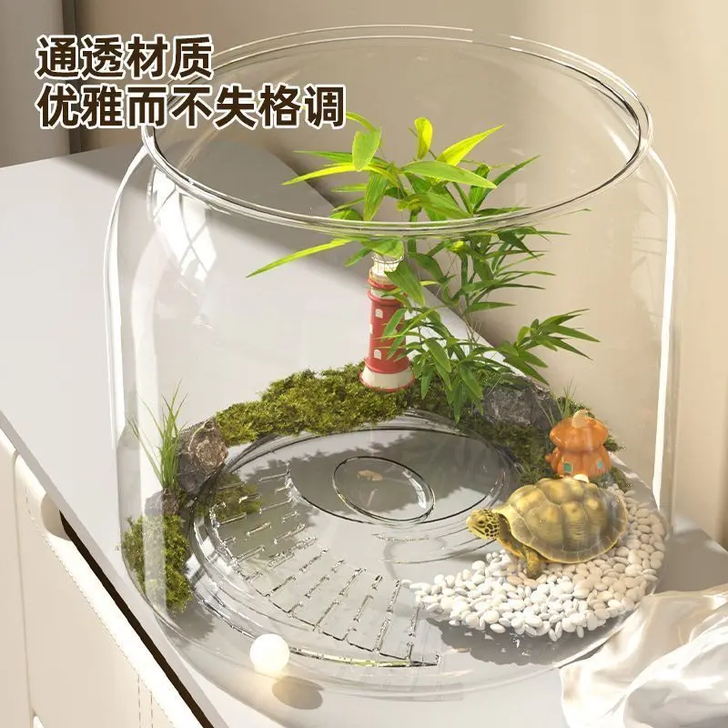 桌面迷你小鱼缸圆裸缸2025生态缸观赏透明办公室养鱼不坏创意乌龟