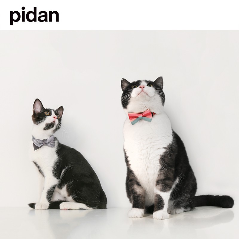 pidan猫咪领结防锁死安全脖套