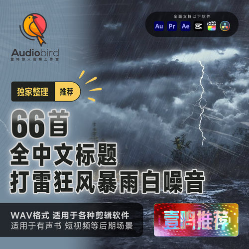 打雷下雨狂风闪电暴雨音效素材