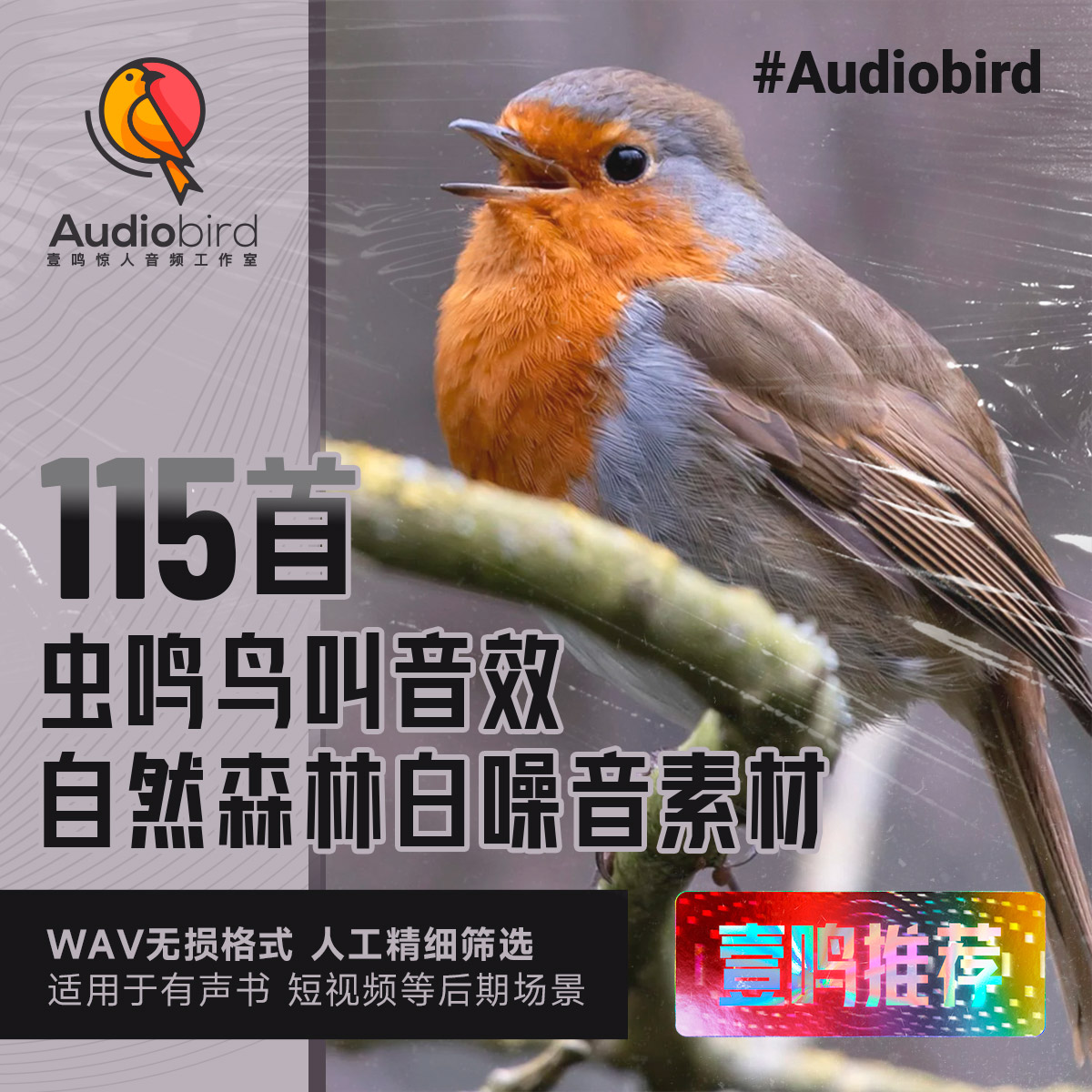 森林夏天户外自然环境虫鸣鸟叫鸟鸣音效素材有声书音效白噪音音频