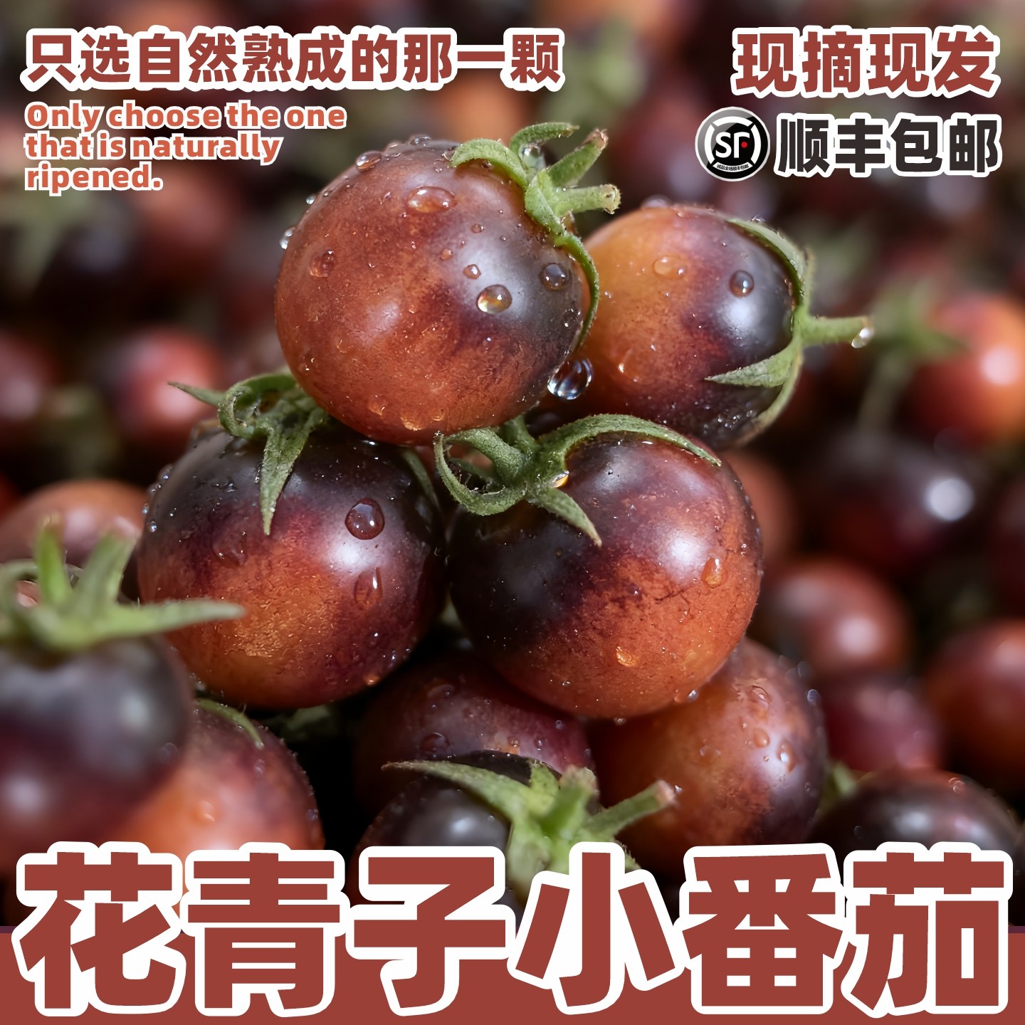 新鲜花青子小番茄圣女果千禧小番茄黑色黑明珍珠,水产肉类/新鲜蔬果/熟食,番茄,淘宝优惠券,粉丝福利购,淘宝优惠卷