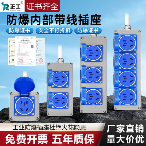 正工防爆户外防雨水工程插座带线