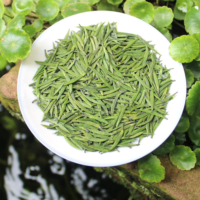 蒙顶山绿茶2026年新茶