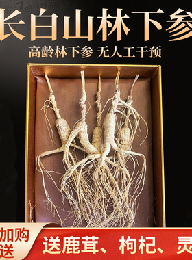 人参林下山参长白山干参生晒人参礼盒装东北特产泡酒整支干人参