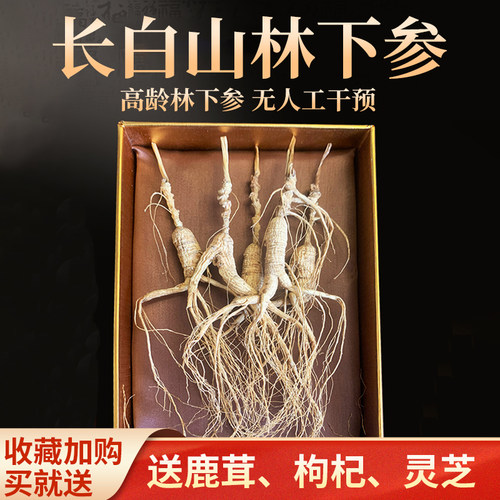 20年生晒礼盒装东北特产整支山参