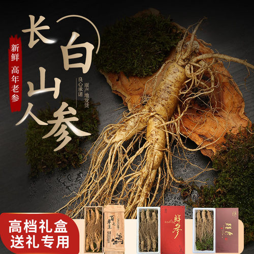 长白山鲜人参礼盒装送礼专用