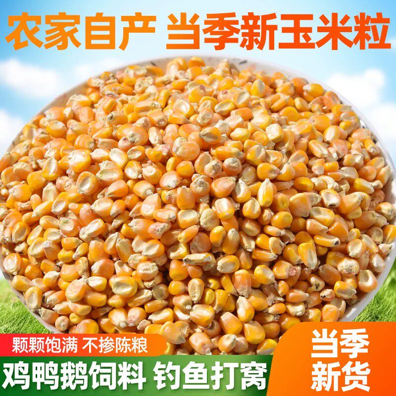 玉米东北原产地打窝鱼饵仓鼠包邮