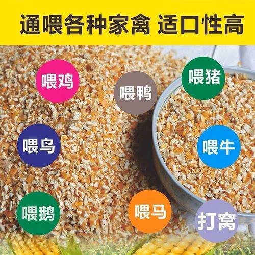 碎玉米鸡饲料喂鸡鸭鹅养殖户专用