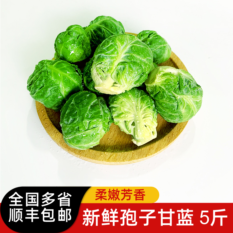 孢子甘蓝5斤 新鲜蔬菜沙拉西餐食材 抱子甘兰 迷你小包菜小卷心菜 水产肉类/新鲜蔬果/熟食 其它 原图主图