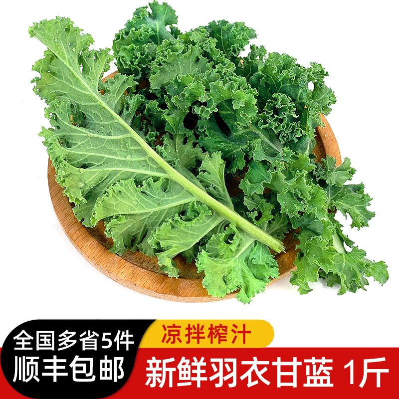 羽衣甘蓝500g 新鲜蔬菜嫩叶芥蓝菜kale沙拉食材榨汁蔬菜 水产肉类/新鲜蔬果/熟食 其它 原图主图