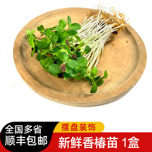新鲜香椿苗80g/盒 芽苗菜香春苗西餐日料冷艺酒店摆盘装饰