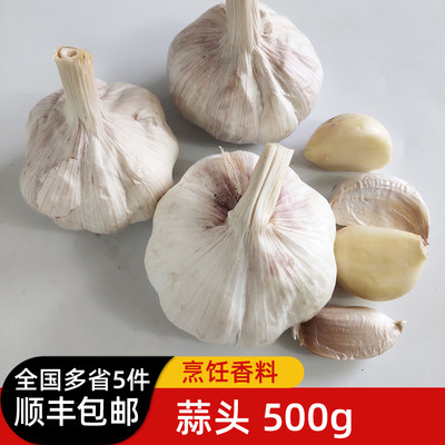 干大蒜头500g 生蒜农家新鲜蔬菜白皮大蒜家常调味料香料5件包邮