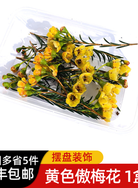 黄色傲梅花1盒 酒店西餐日料冷艺烘焙花草摆盘装饰材料 5件包邮