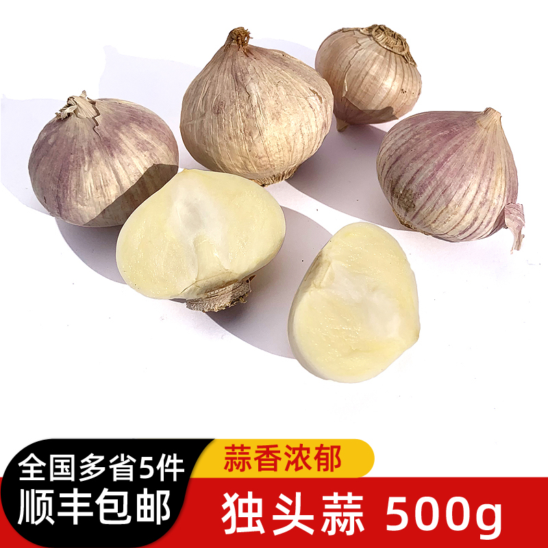 独头蒜500g 云南大蒜独头干大蒜头独蒜生吃烹饪香料 5件顺丰包邮