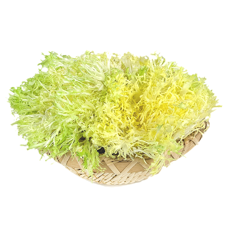 新鲜黄心苦菊500g 苦叶生菜苦苣九芽狗牙生菜苦细叶沙拉蔬菜食材