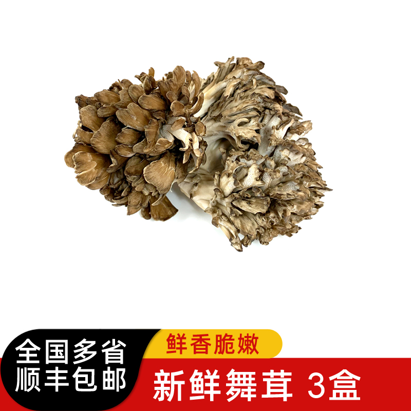 新鲜舞茸150g*3盒 灰树花 新鲜真菌 日本舞茸菌 舞茸茶 顺丰包邮 水产肉类/新鲜蔬果/熟食 新鲜松茸/菌菇 原图主图