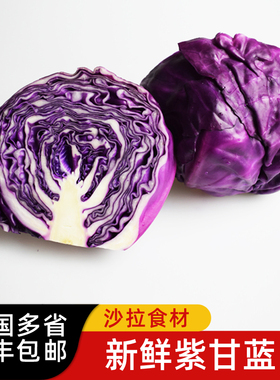 紫甘蓝 紫包菜球紫色红椰菜西餐蔬菜生菜轻食沙拉食材
