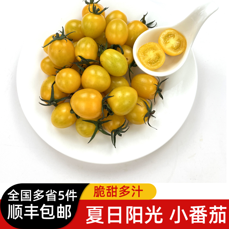 黄色小番茄500g 夏日阳光小番茄圣女果当季新鲜水果蔬菜沙拉食材 水产肉类/新鲜蔬果/熟食 番茄 原图主图