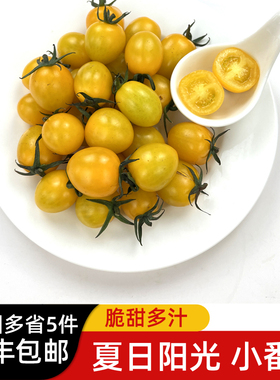 黄色小番茄500g 夏日阳光小番茄圣女果当季新鲜水果蔬菜沙拉食材
